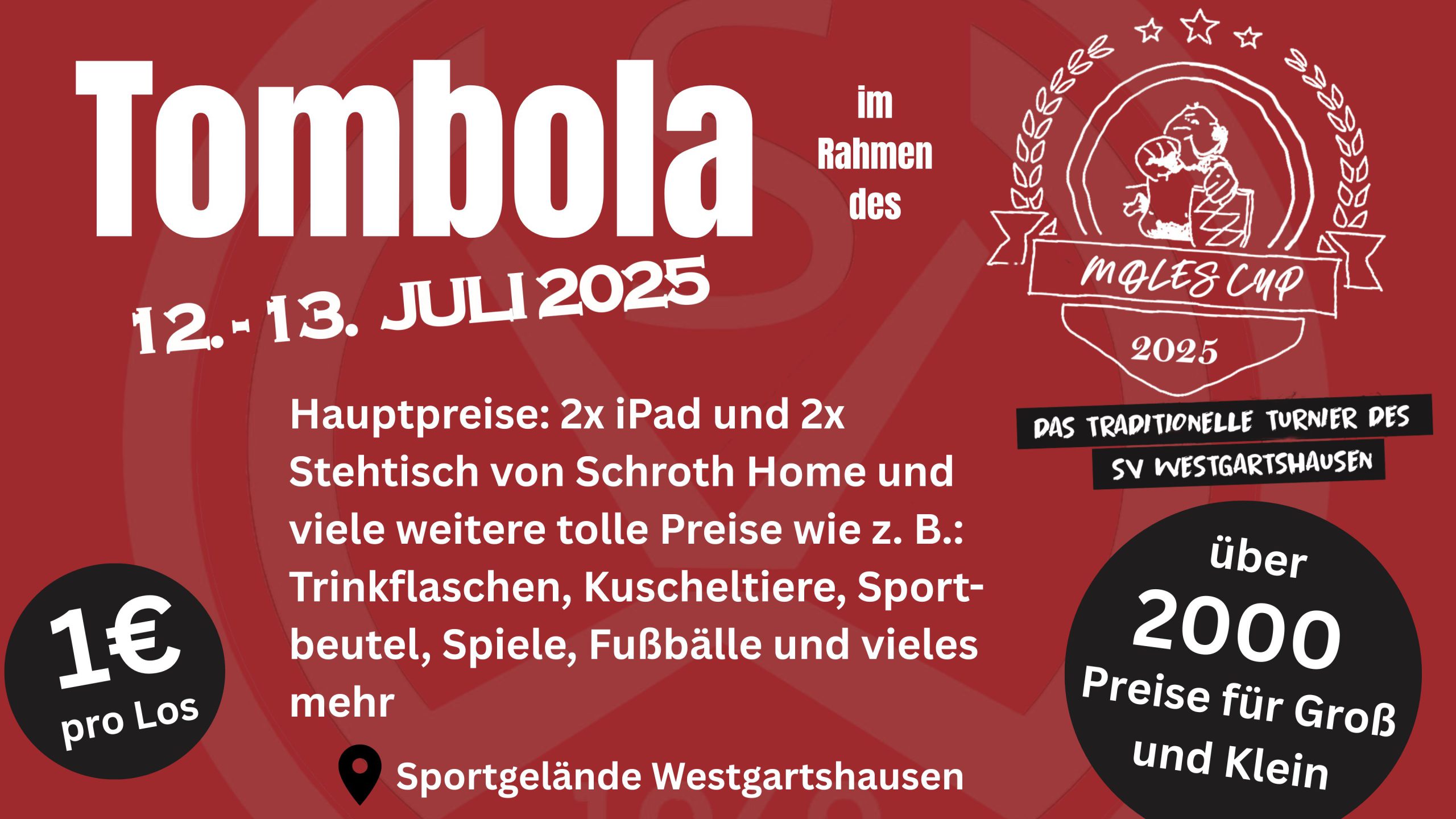 2506_MolescupTombola (Präsentation)